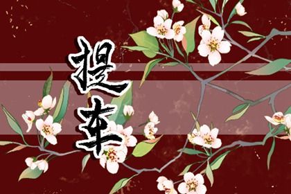 2025年06月23日提车好不好 今日提新车好不好