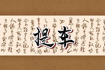 2025年01月11日提车日子如何 买新车吉利吗