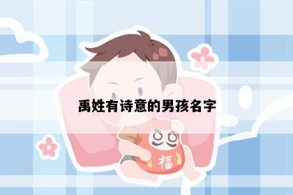 禹姓有诗意的男孩名字