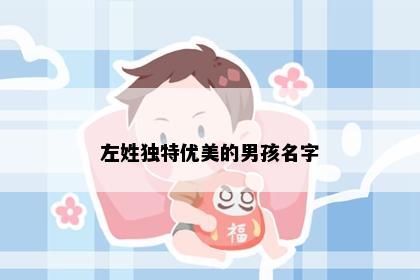 左姓独特优美的男孩名字